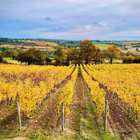 Domaine Trottieres Coteaux De Layon Les Ondines - Latitude Wine & Liquor Merchant