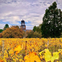 Domaine Trottieres Coteaux De Layon Les Ondines - Latitude Wine & Liquor Merchant