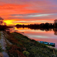 Domaine Trottieres Coteaux De Layon Les Ondines - Latitude Wine & Liquor Merchant