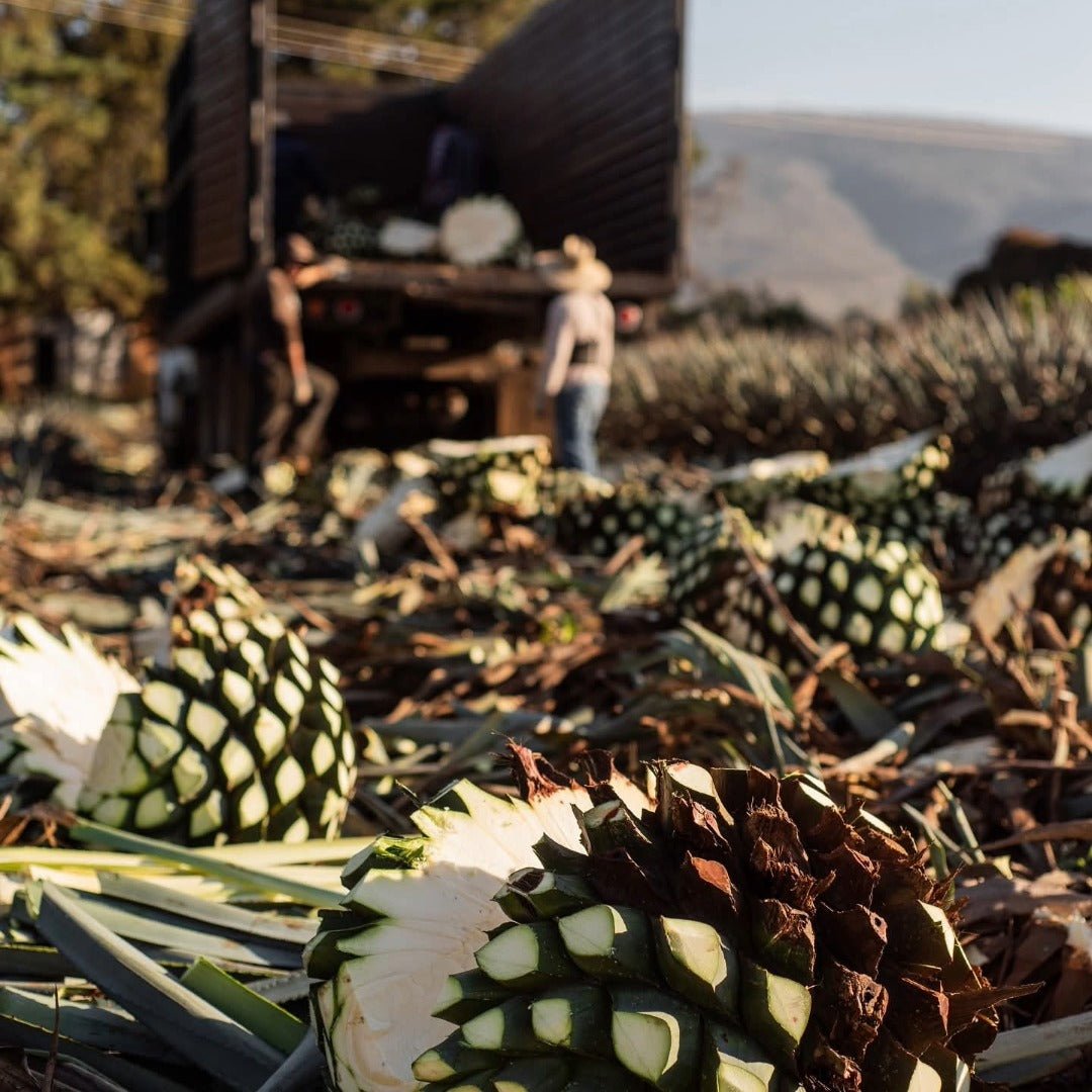 Don Fulano Reposado - Latitude Wine & Liquor Merchant