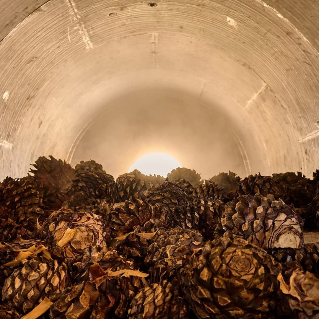 Don Fulano Reposado - Latitude Wine & Liquor Merchant