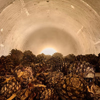 Don Fulano Reposado - Latitude Wine & Liquor Merchant