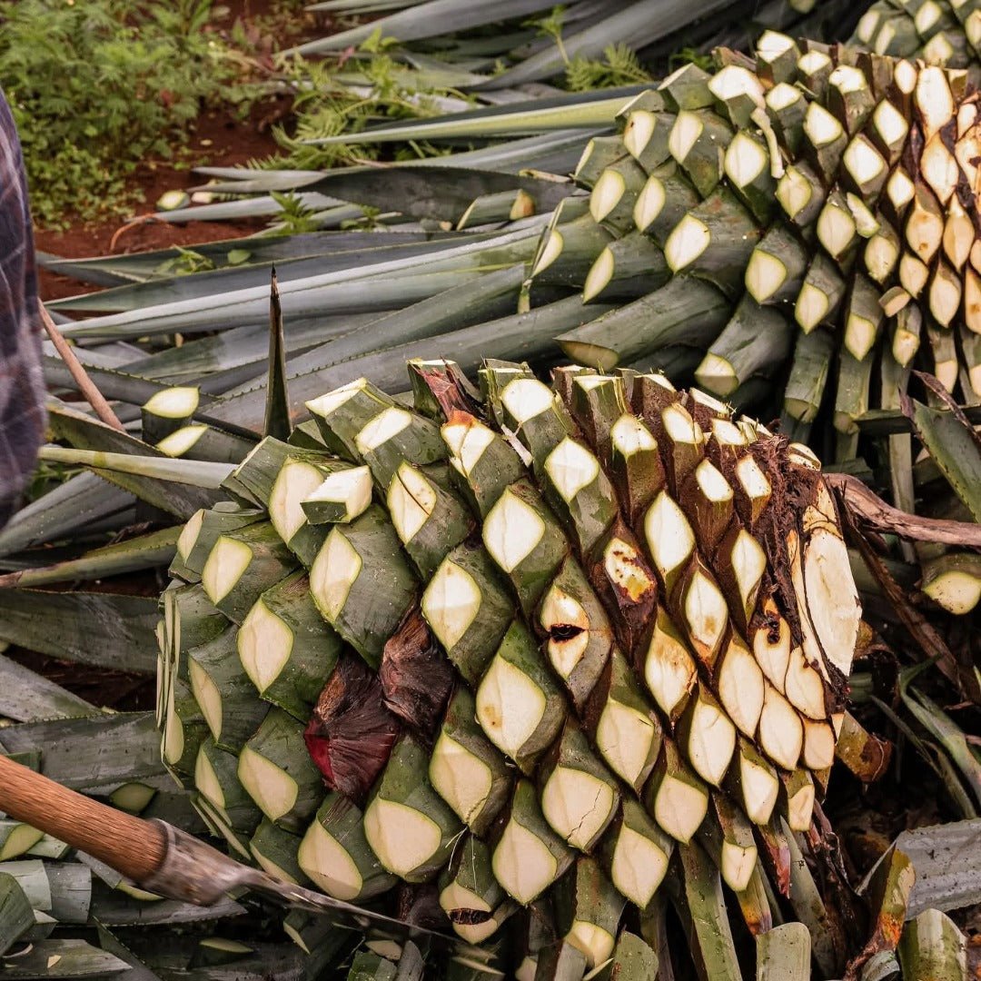 Don Fulano Reposado - Latitude Wine & Liquor Merchant