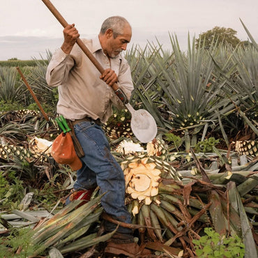 Don Fulano Reposado - Latitude Wine & Liquor Merchant