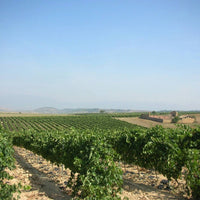 Don Sancho De A Ocho Rioja Tinto - Latitude Wine & Liquor Merchant
