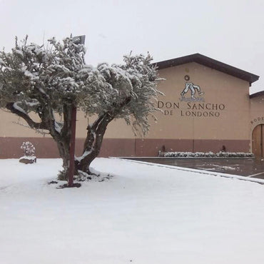 Don Sancho De A Ocho Rioja Tinto - Latitude Wine & Liquor Merchant