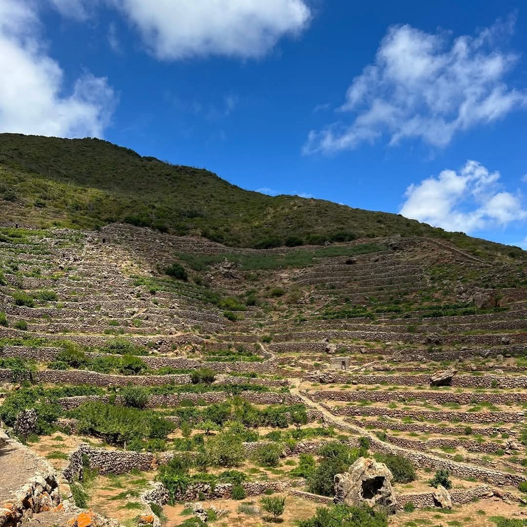 Donnafugata Sul Volcanico Etna Rosso - Latitude Wine & Liquor Merchant