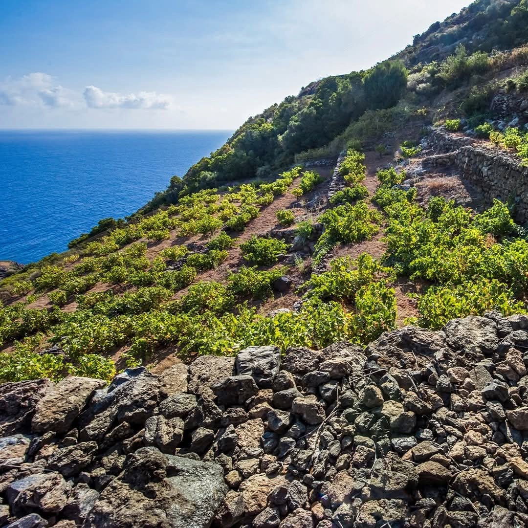 Donnafugata Sul Volcanico Etna Rosso - Latitude Wine & Liquor Merchant