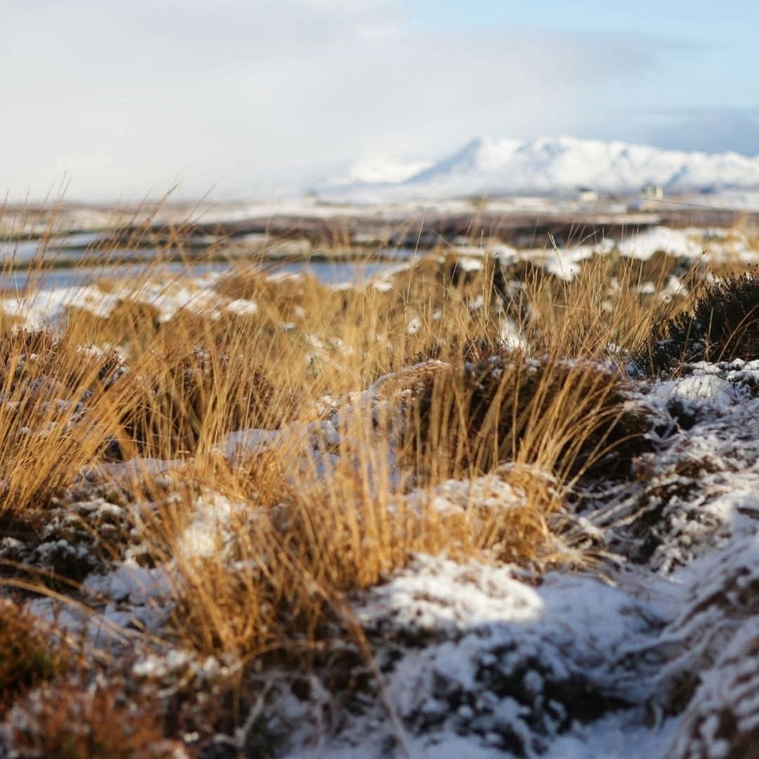 Downpour Sloe & Bramble Gin - Latitude Wine & Liquor Merchant