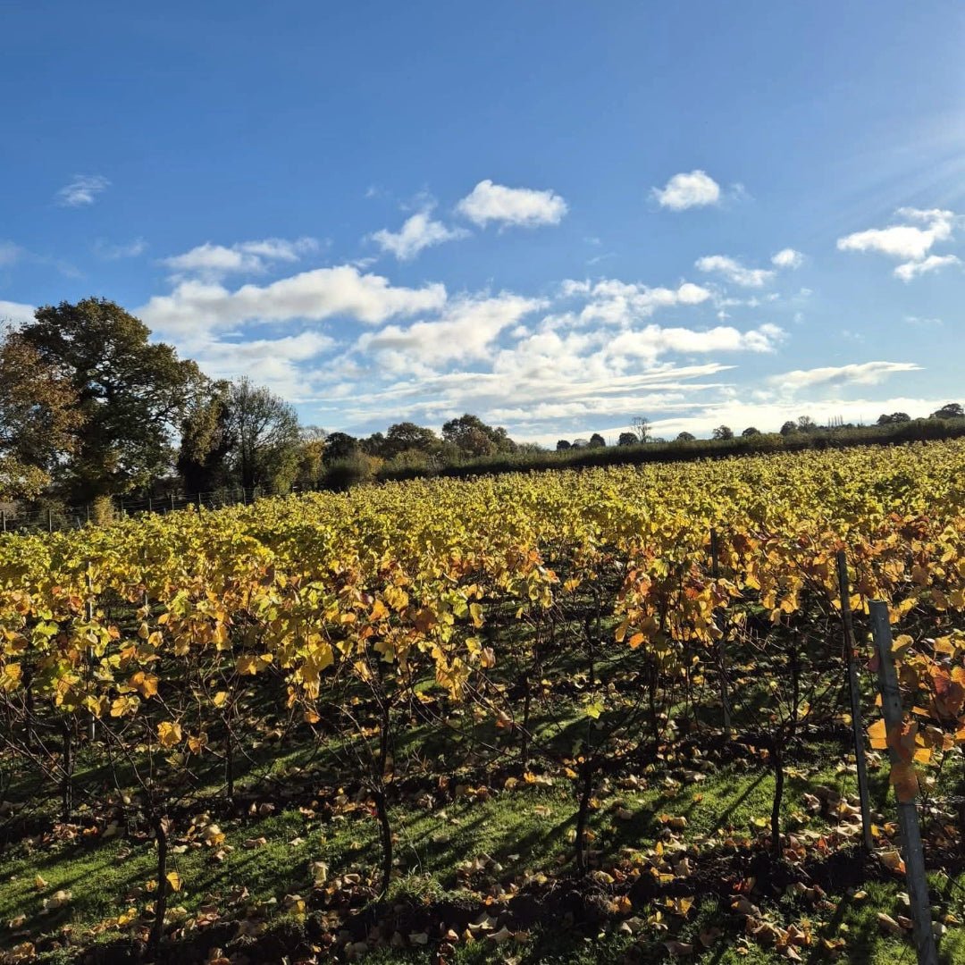 Dunesforde Vineyards Red - Latitude Wine & Liquor Merchant