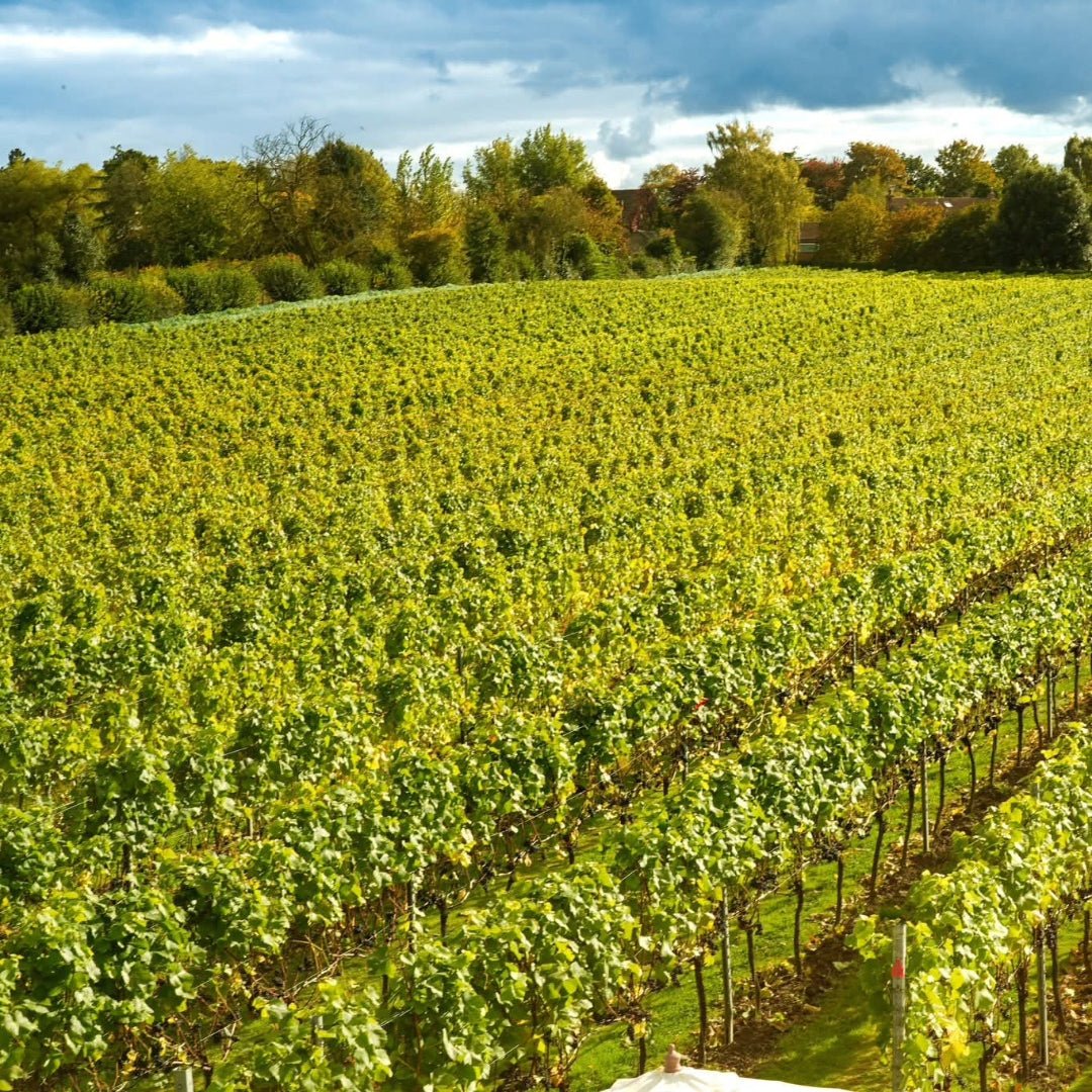 Dunesforde Vineyards Red - Latitude Wine & Liquor Merchant