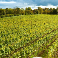 Dunesforde Vineyards Red - Latitude Wine & Liquor Merchant