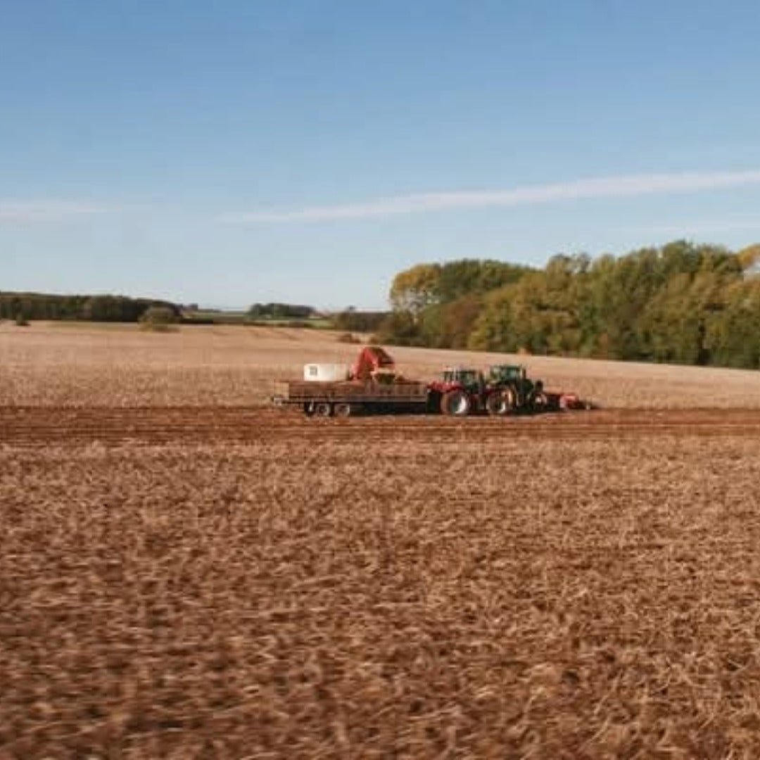 Edwards 1902 English Potato Vodka - Latitude Wine & Liquor Merchant