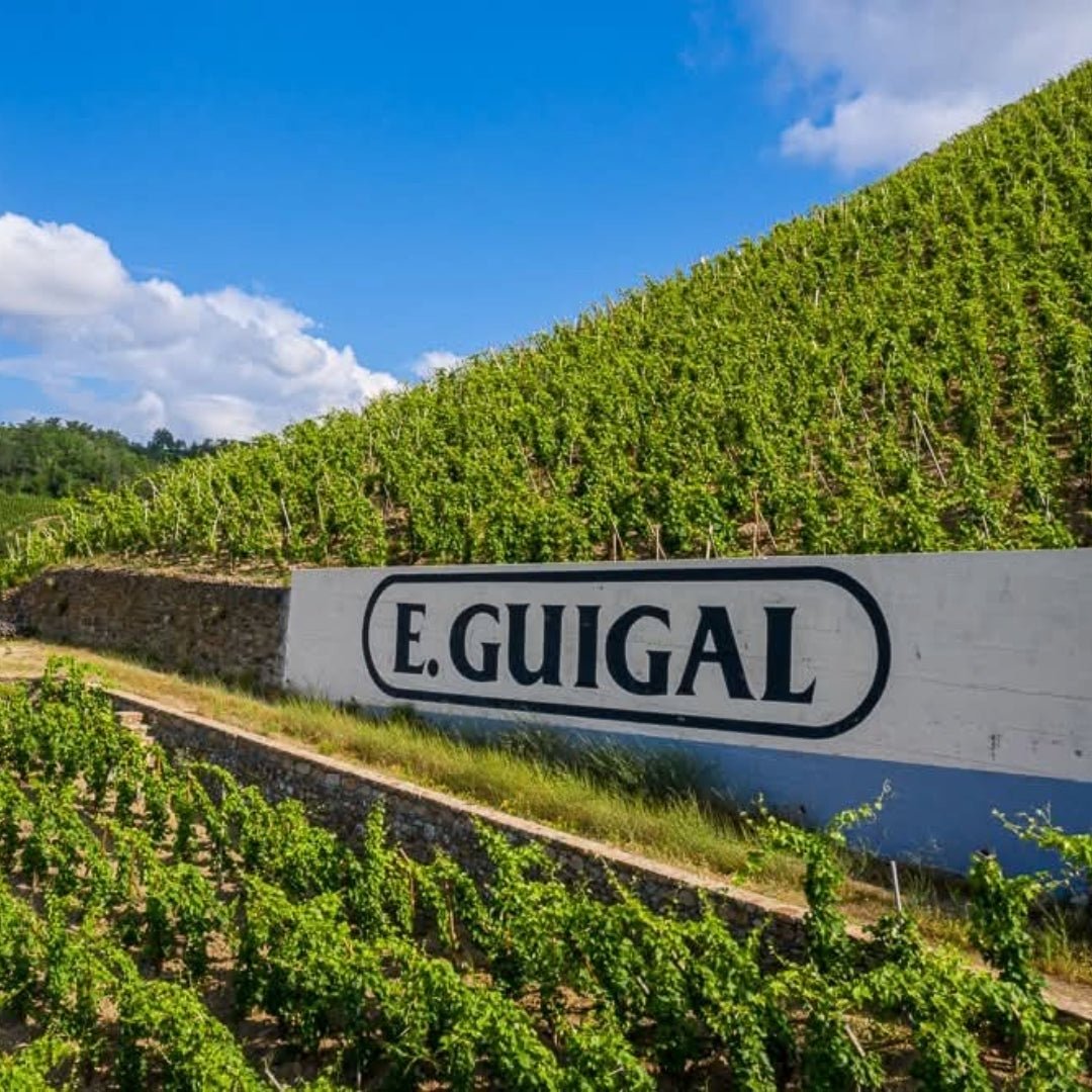 E.Guigal Condrieu - Latitude Wine & Liquor Merchant