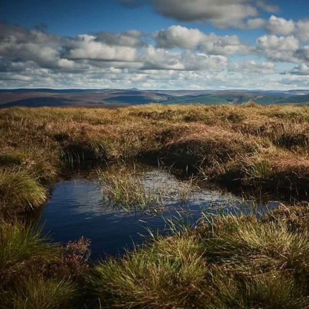 Eight Lands Vodka - Latitude Wine & Liquor Merchant