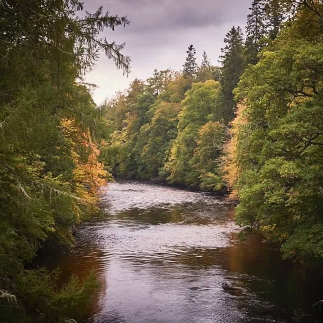 Eight Lands Vodka - Latitude Wine & Liquor Merchant