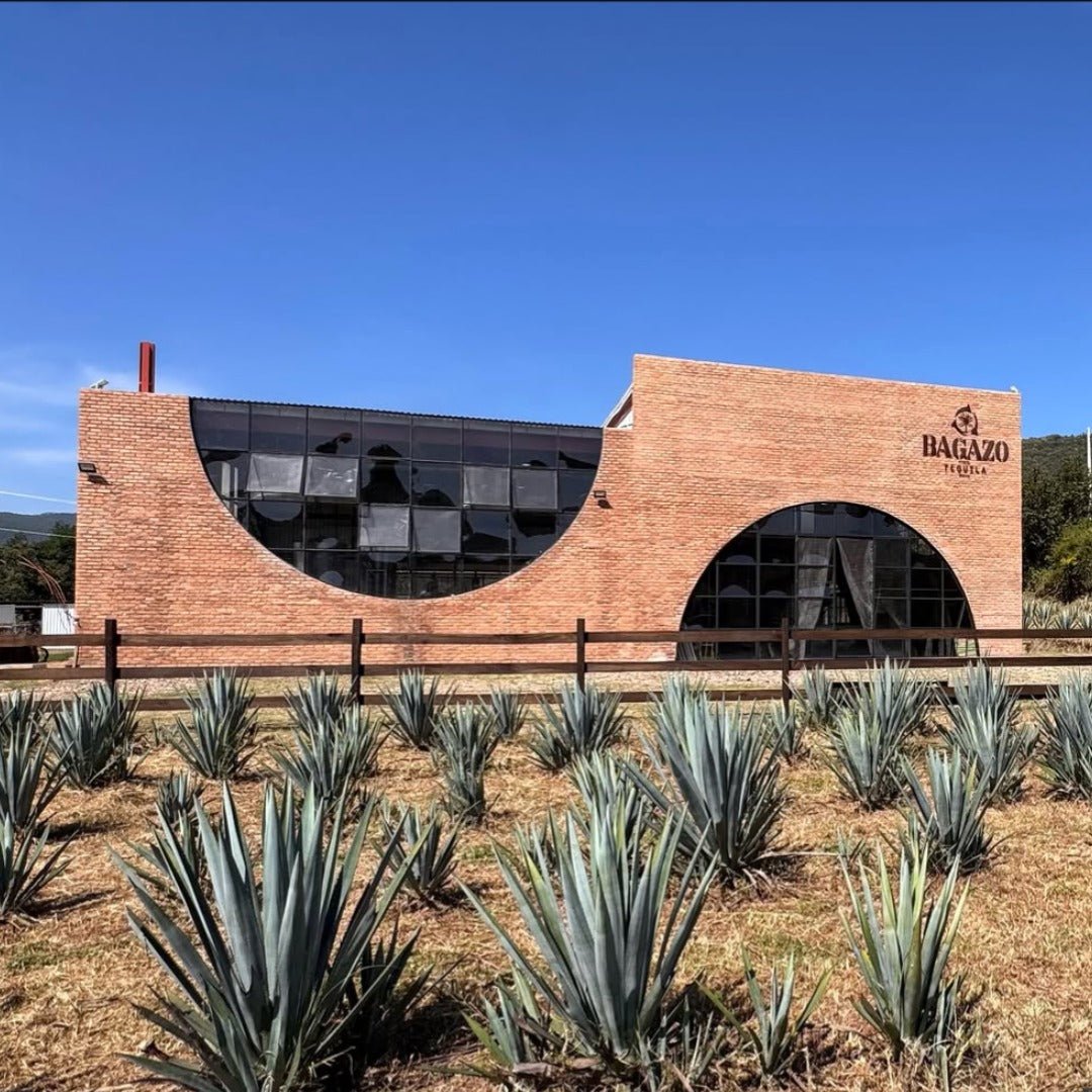 El Bagazo Unico Tequila Blanco - Latitude Wine & Liquor Merchant