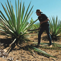 El Cabron Mezcal Joven - Latitude Wine & Liquor Merchant