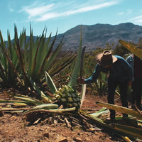 El Cabron Mezcal Joven - Latitude Wine & Liquor Merchant