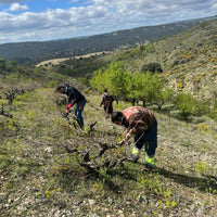 El Escoces Volante Manga Del Brujo Blanco - Latitude Wine & Liquor Merchant