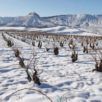 El Escoces Volante Manga Del Brujo Blanco - Latitude Wine & Liquor Merchant