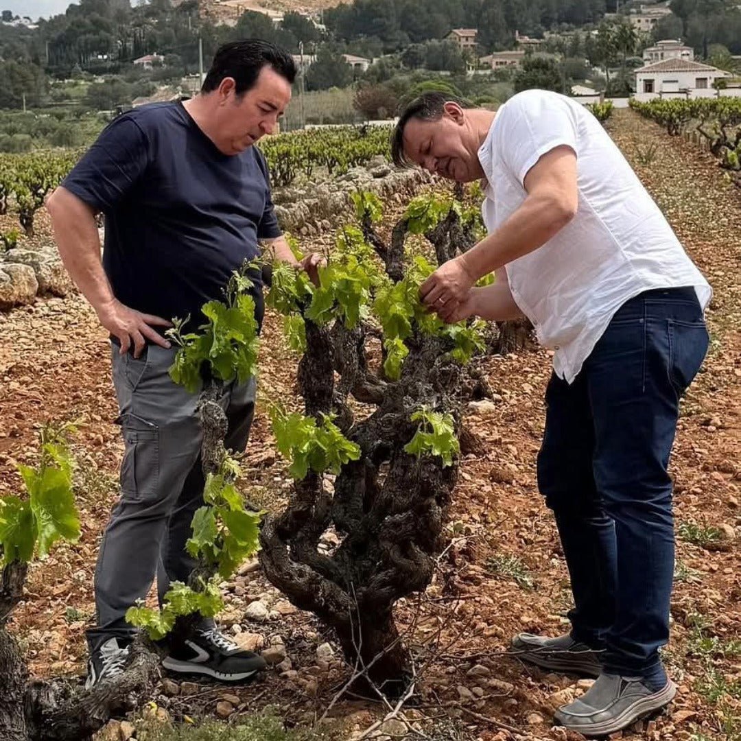 El Escoces Volante Manga Del Brujo Blanco - Latitude Wine & Liquor Merchant