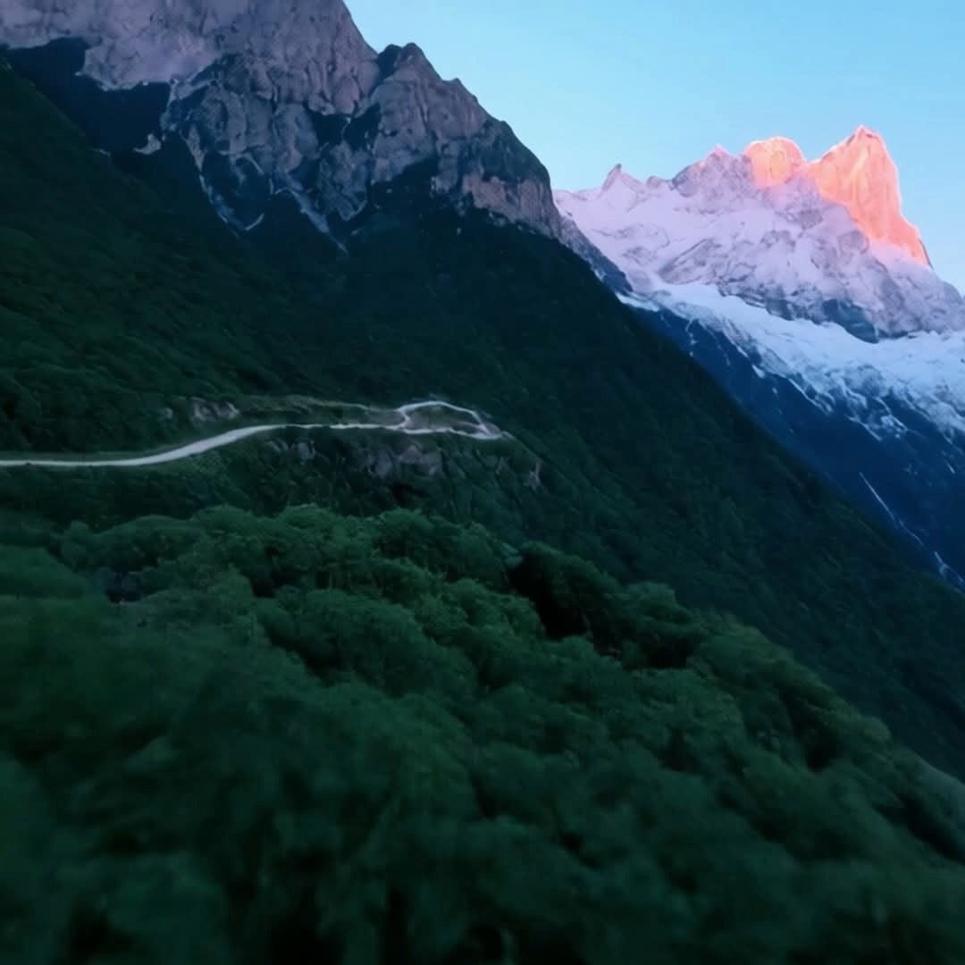 El Gobernador Moscatel Pisco - Latitude Wine & Liquor Merchant