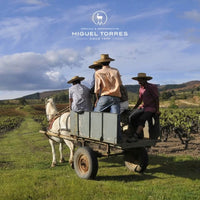 El Gobernador Moscatel Pisco - Latitude Wine & Liquor Merchant