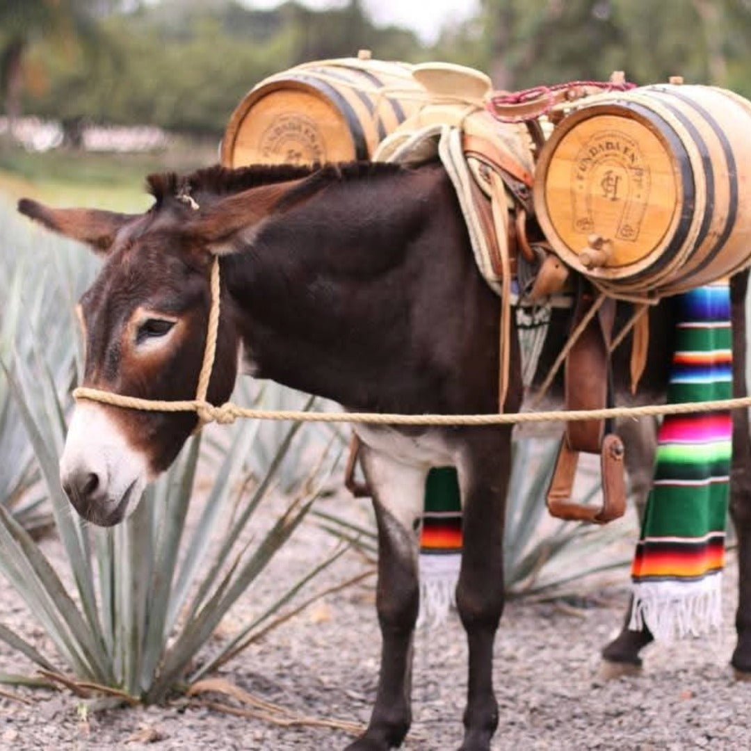 El Jimador Reposado - Latitude Wine & Liquor Merchant