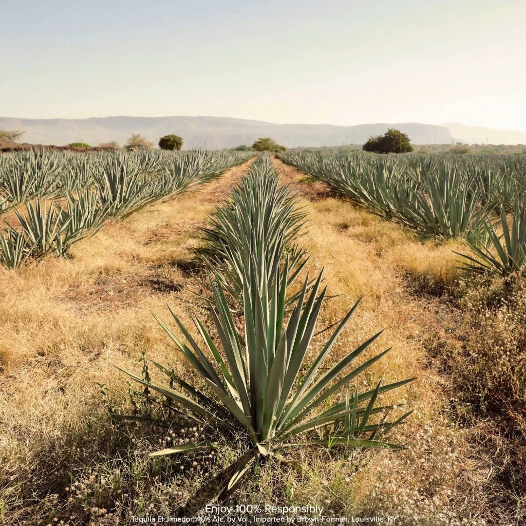 El Jimador Reposado - Latitude Wine & Liquor Merchant