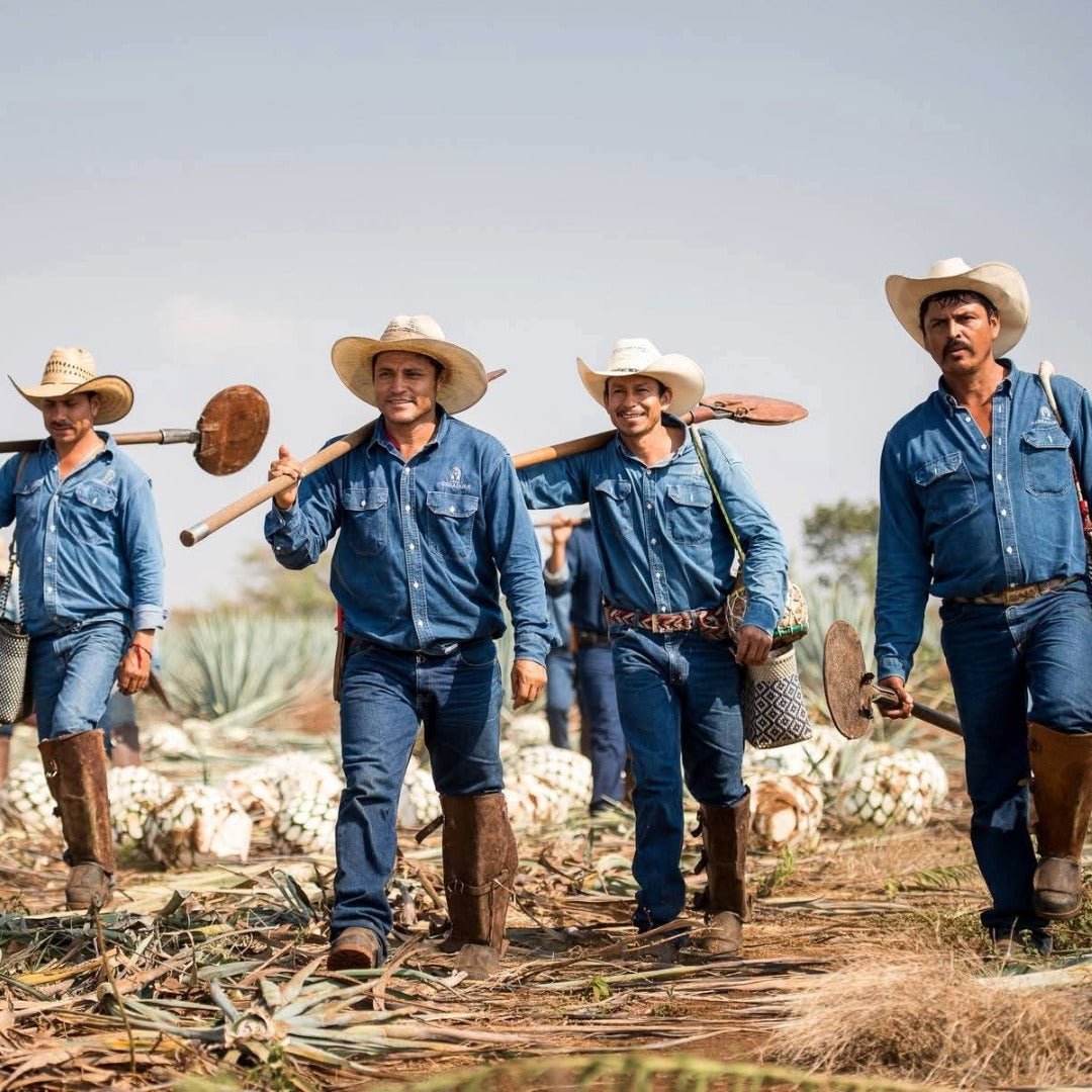 El Jimador Reposado - Latitude Wine & Liquor Merchant