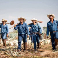 El Jimador Reposado - Latitude Wine & Liquor Merchant