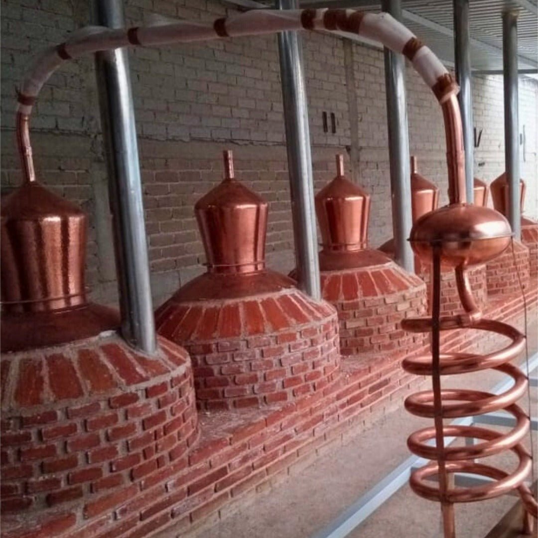 El Occidental Guerrero Mezcal - Latitude Wine & Liquor Merchant