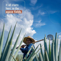 El Tequileno Gran Reserva Anejo - Latitude Wine & Liquor Merchant