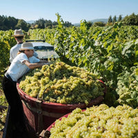 Este Vinhao Tinto - Latitude Wine & Liquor Merchant
