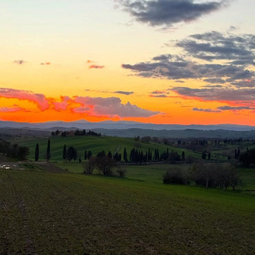 Fabbrica Newton Bianco Toscano - Latitude Wine & Liquor Merchant