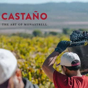 Familia Castano Hecula Organic Monastrell - Latitude Wine & Liquor Merchant