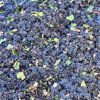 Familia Castano Hecula Organic Monastrell - Latitude Wine & Liquor Merchant