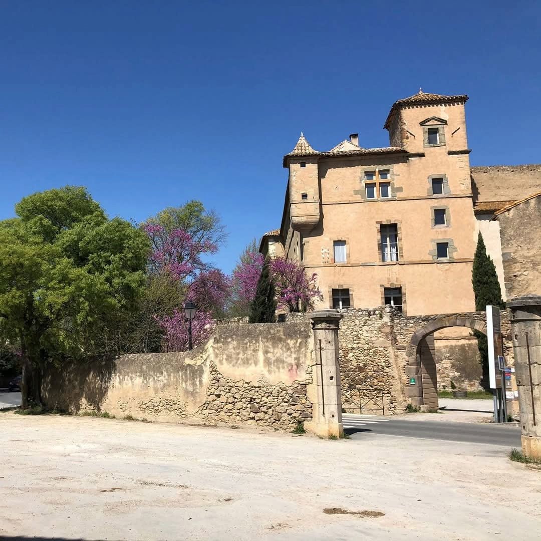 Famille Fabre Chateau Coulon Corbieres Rouge - Latitude Wine & Liquor Merchant