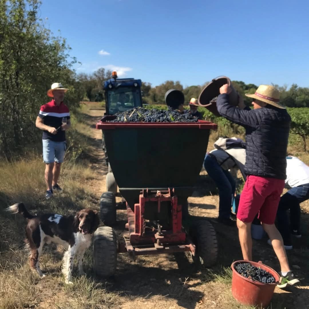 Famille Fabre Chateau Coulon Corbieres Rouge - Latitude Wine & Liquor Merchant