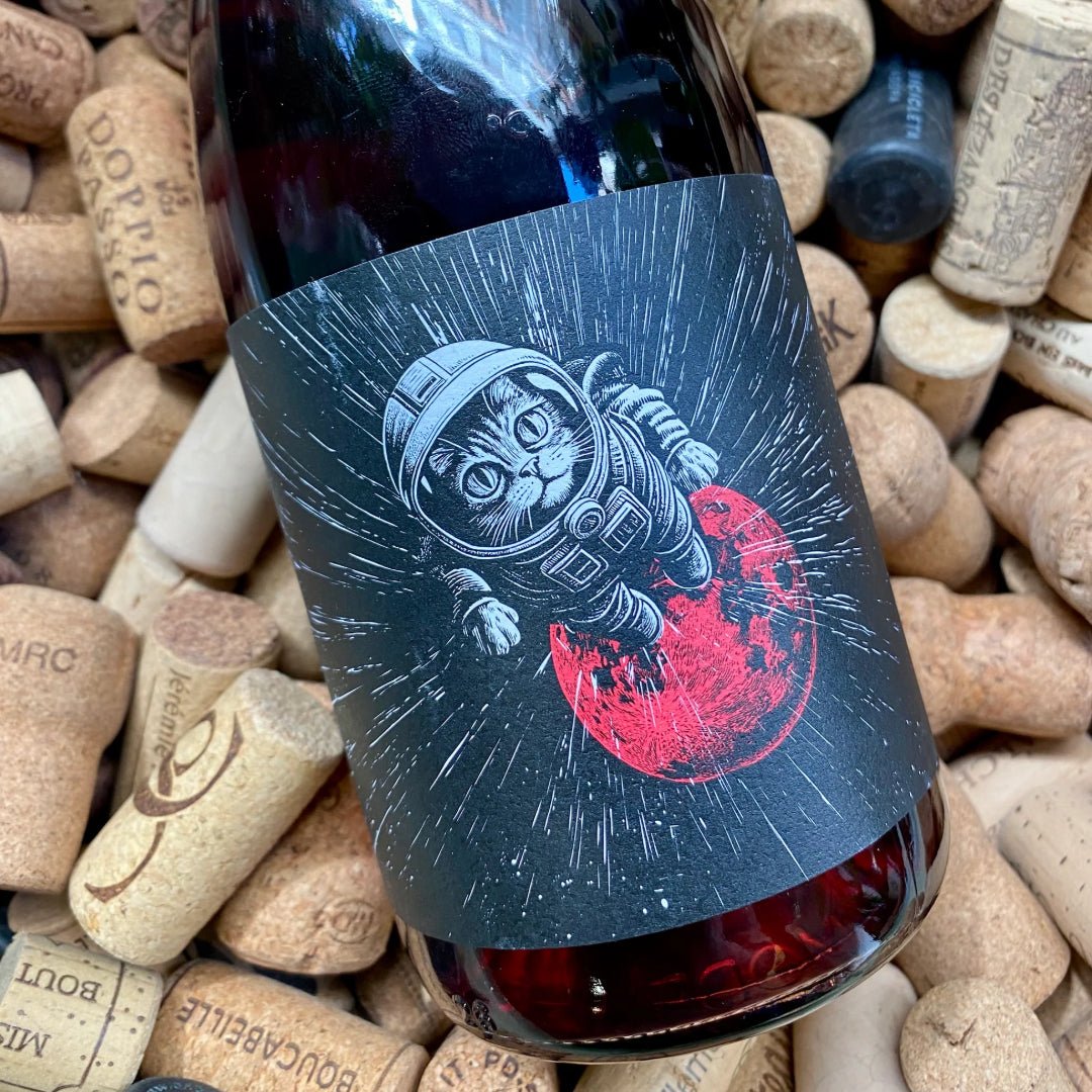 Felicette Light Speed Clairette - Latitude Wine & Liquor Merchant