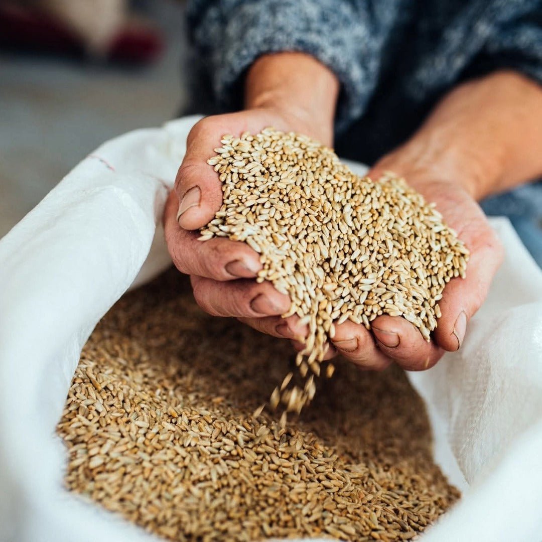 Fielden Flagship English Rye Whisky - Latitude Wine & Liquor Merchant