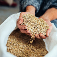 Fielden Flagship English Rye Whisky - Latitude Wine & Liquor Merchant