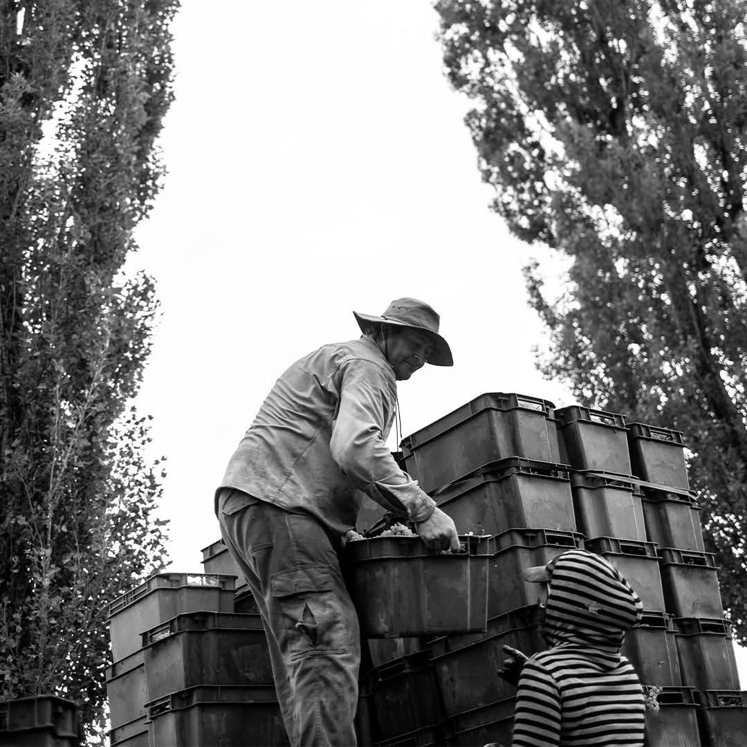 Finca El Nevado Chico Malo Malbec - Latitude Wine & Liquor Merchant