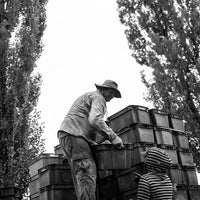 Finca El Nevado Chico Malo Malbec - Latitude Wine & Liquor Merchant