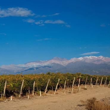 Finca Flichman Misterio Malbec - Latitude Wine & Liquor Merchant