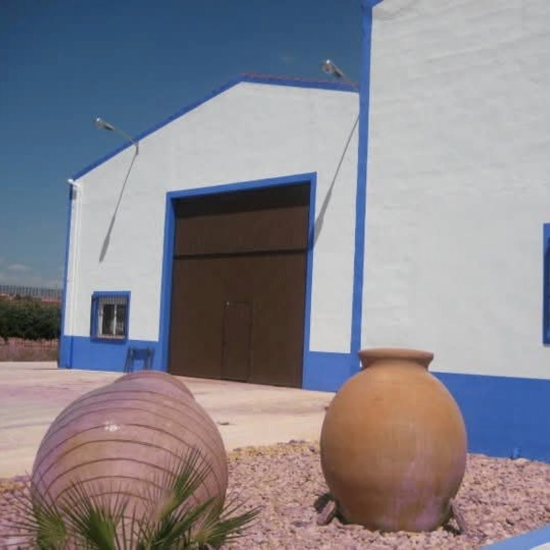 Finca Sandoval 'Salia' - Latitude Wine & Liquor Merchant
