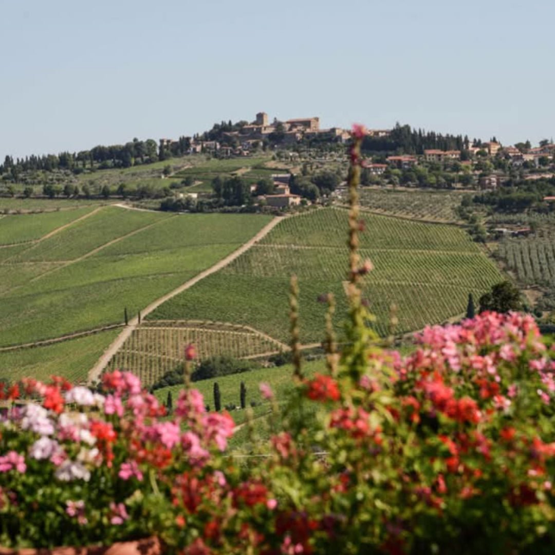 Fontodi Chianti Classico - Latitude Wine & Liquor Merchant