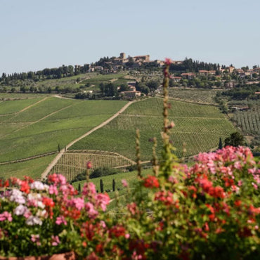 Fontodi Chianti Classico - Latitude Wine & Liquor Merchant