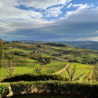 Fontodi Chianti Classico - Latitude Wine & Liquor Merchant